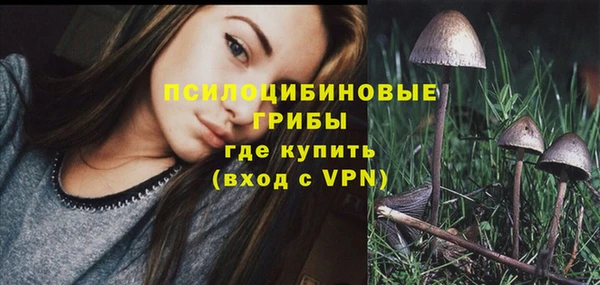 spice Верхний Тагил