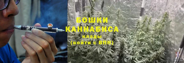 spice Верхний Тагил