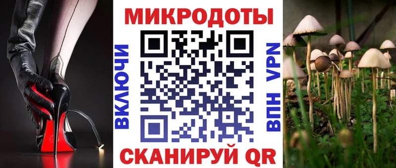 Купить Ардон Галлюциногенные грибы Cubensis